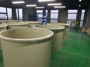 科創組團工業化淡水水產養殖研發中心矚目而成，引領水產養殖新篇章